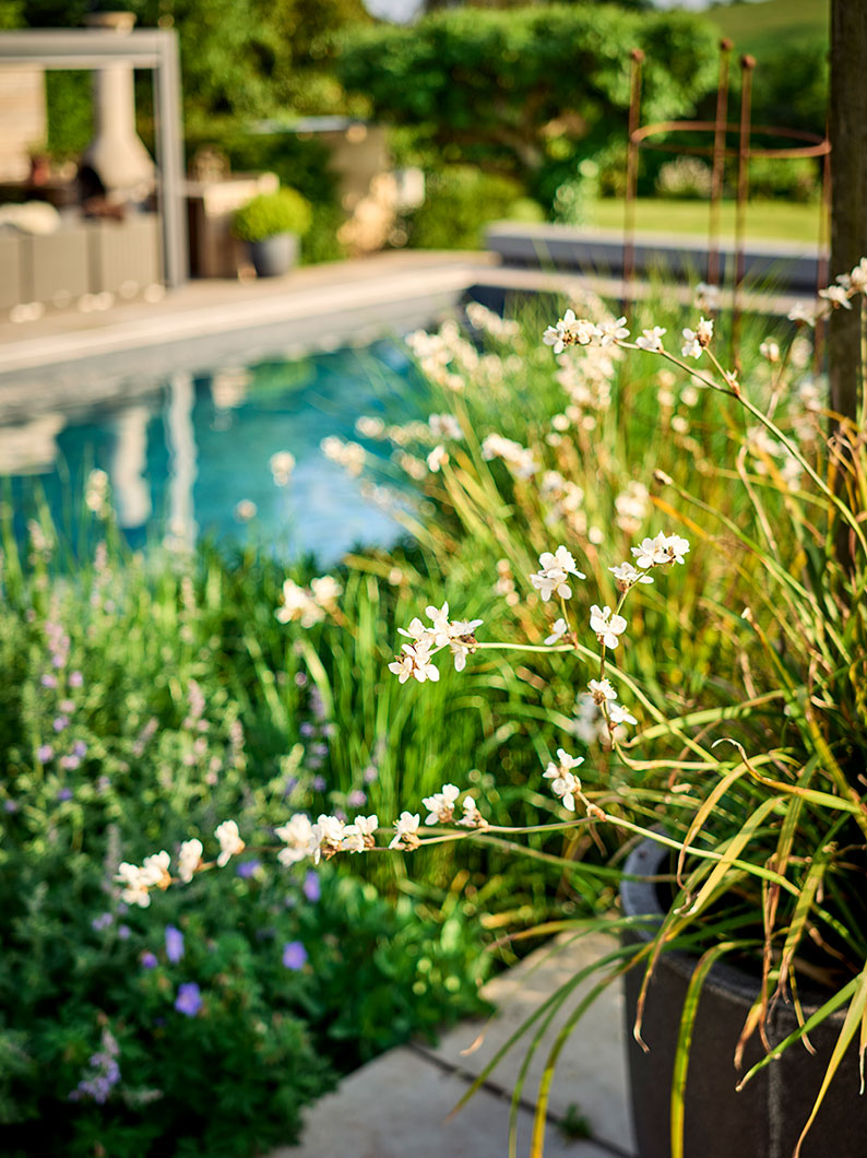 Studio lifestyle shot placing the products in a setting and keeping the lighting clean and fresh.